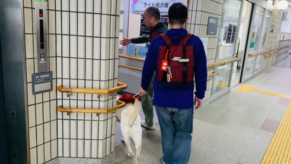 盲導犬の体験歩行をする渡辺さんを後ろから撮影した画像