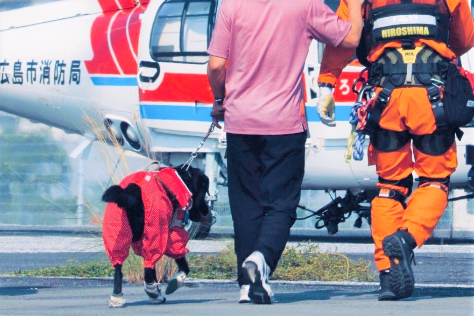 盲導犬を連れた清水さんが消防隊と一緒にヘリコプターに向かっていく様子を後ろから撮影した画像。
