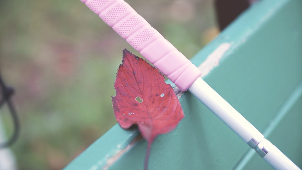 ピンクの白杖のグリップとえんじ色の落ち葉を写したイメージ画像。