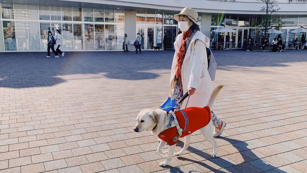 小倉さんが盲導犬のブリスと一緒に広場を歩いている画像