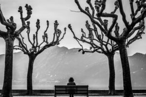 木が左右に立つ間でベンチに人が1人、背中を向けて座っている。