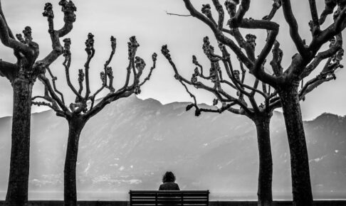 木が左右に立つ間でベンチに人が1人、背中を向けて座っている。