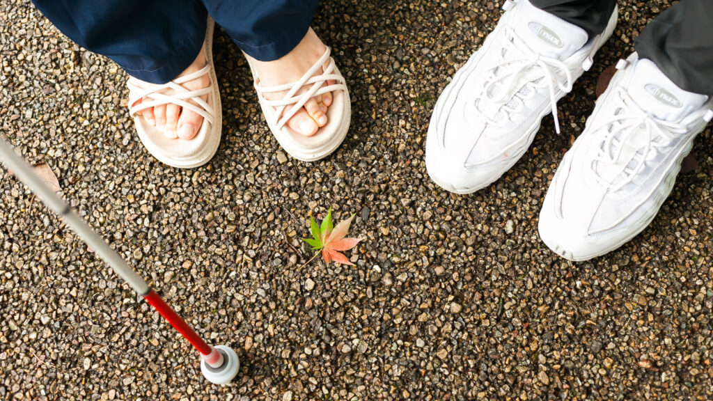 2人の足元と白杖、カラフルな紅葉を写したイメージ画像