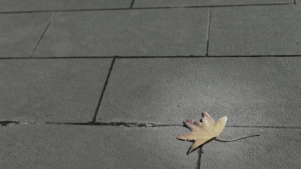 石畳の地面に落ちている一枚の落ち葉の写真。