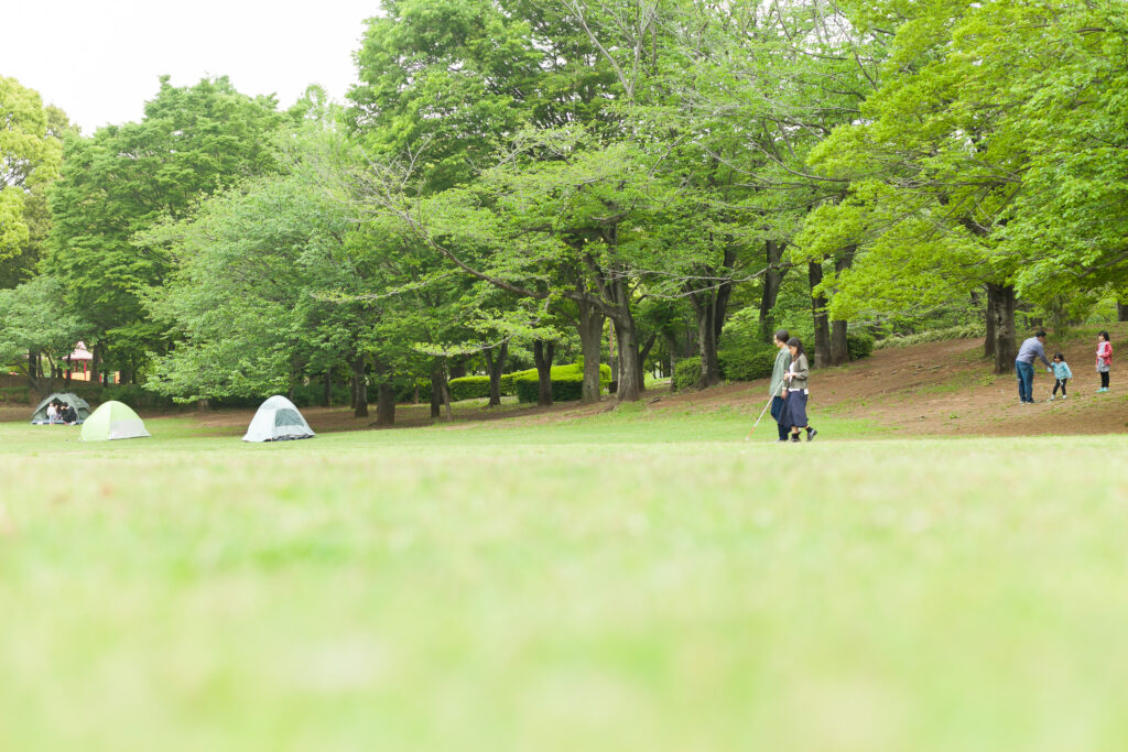 広い公園の中をガイドヘルパーと歩く視覚障害者の写真。