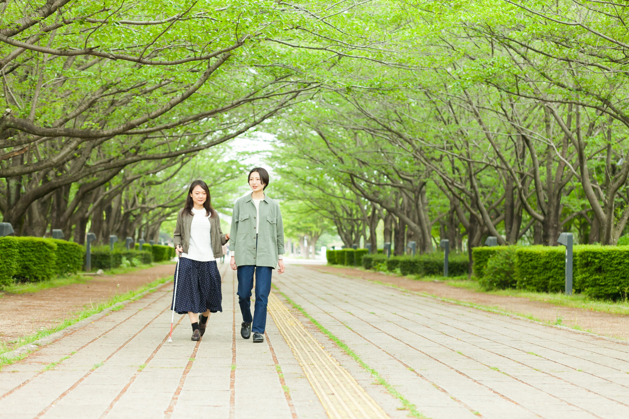 新緑の並木道を歩く視覚障害者とガイドヘルパー。