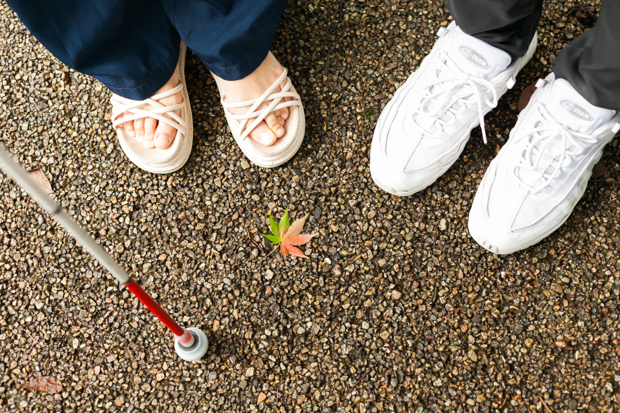 白杖を持つ女性と、ガイドヘルパーの足元。写真中央にもみじが一枚落ちている。