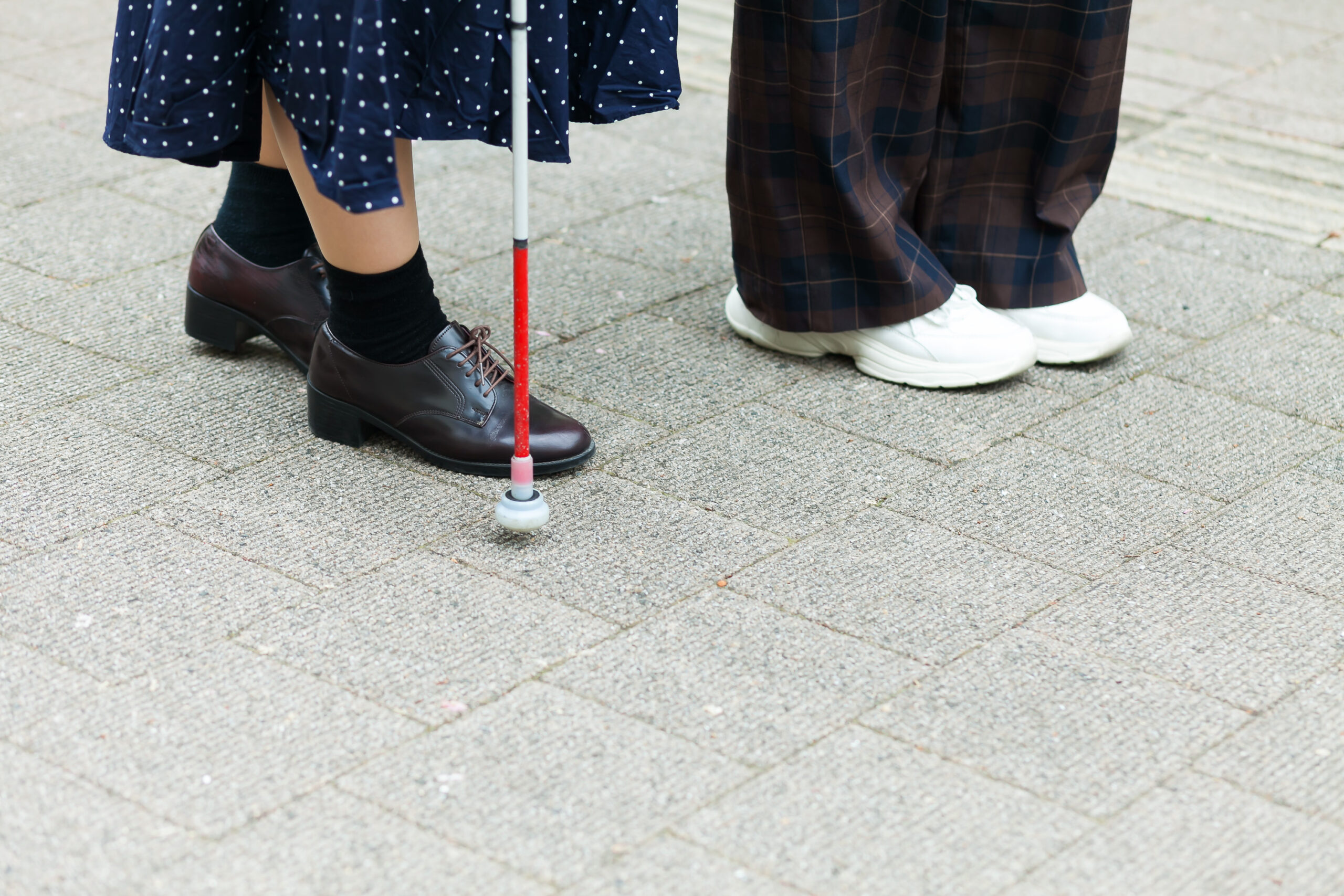 盲目とは?定義や、仕事、生活について紹介 | Spotlite