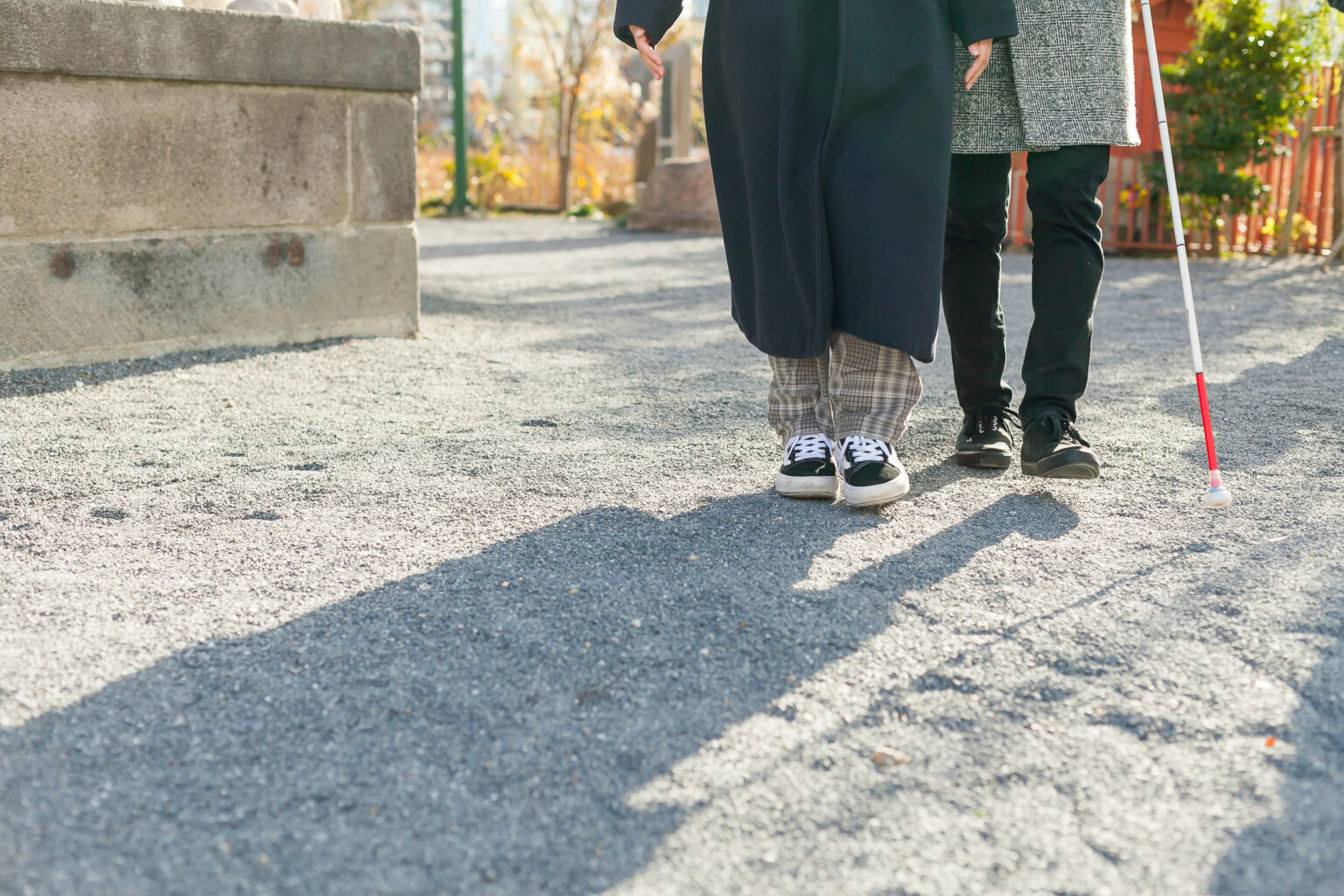 弱視とは?原因となる症状や大人と子どもの弱視の違いを解説 | Spotlite