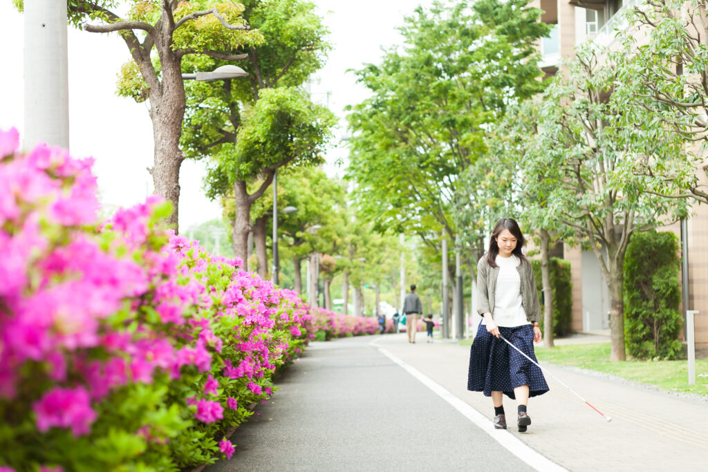 つつじが咲いている道を白杖の人が歩いている写真。