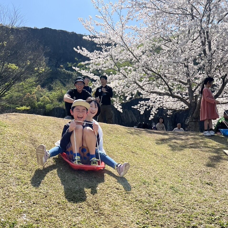 桜の花が咲いている芝生の坂でそりで滑っている子どもたち。スタッフの皆さんも見守っています。