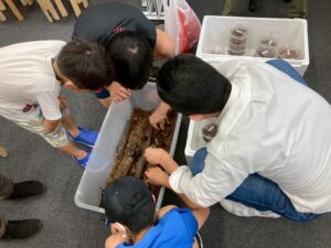 カブトムシ譲渡会当日の様子。衣装ケースに入った昆虫をのぞき込む子ども達と、代表の高橋さん。