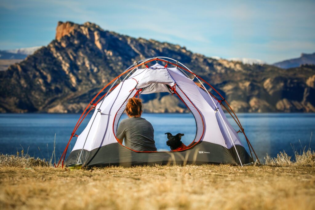 湖畔に簡易テントが張ってある。その中に女性と犬が座っていて湖の方を眺めている様子を後ろからとらえている。周囲の草は茶色で秋と推測できる。