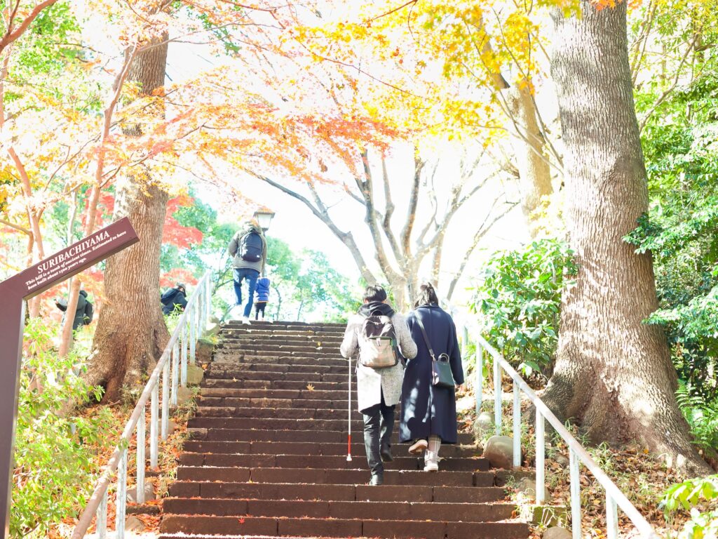 白杖の男性とガイドヘルパーが、紅葉がいっぱいに生い茂っている公園内の階段を上っている。