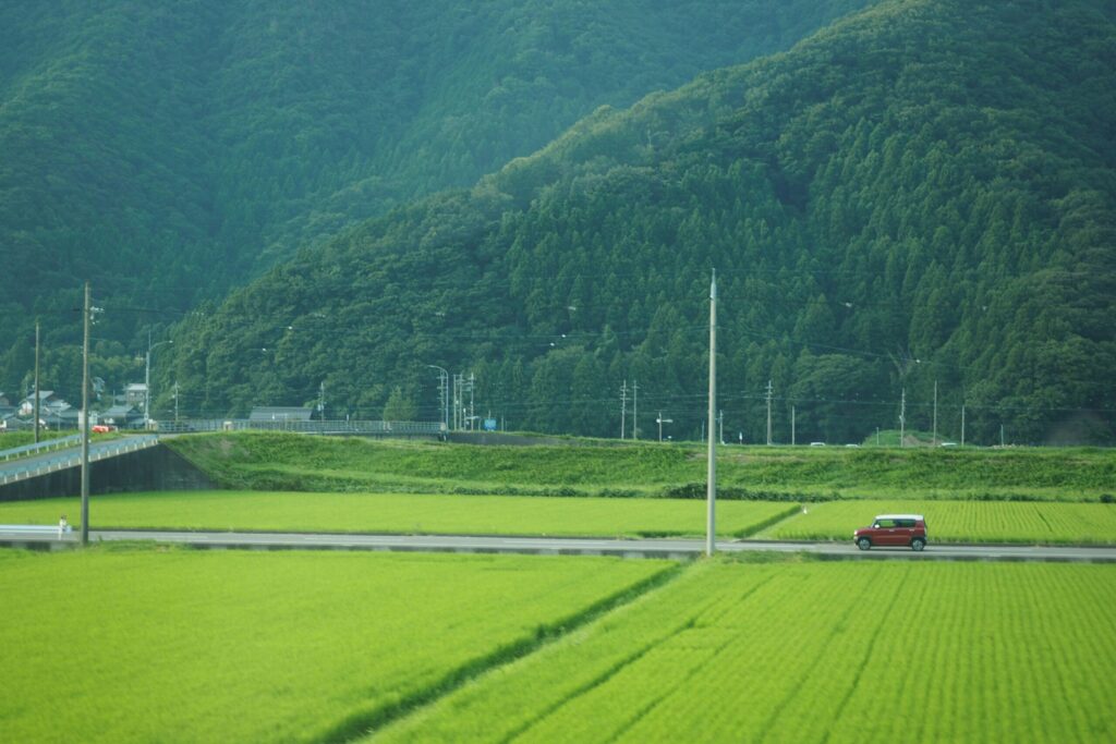 緑が多く山に囲まれた田んぼの風景。田んぼの間の細い道路を赤い自動車が1台走っている。